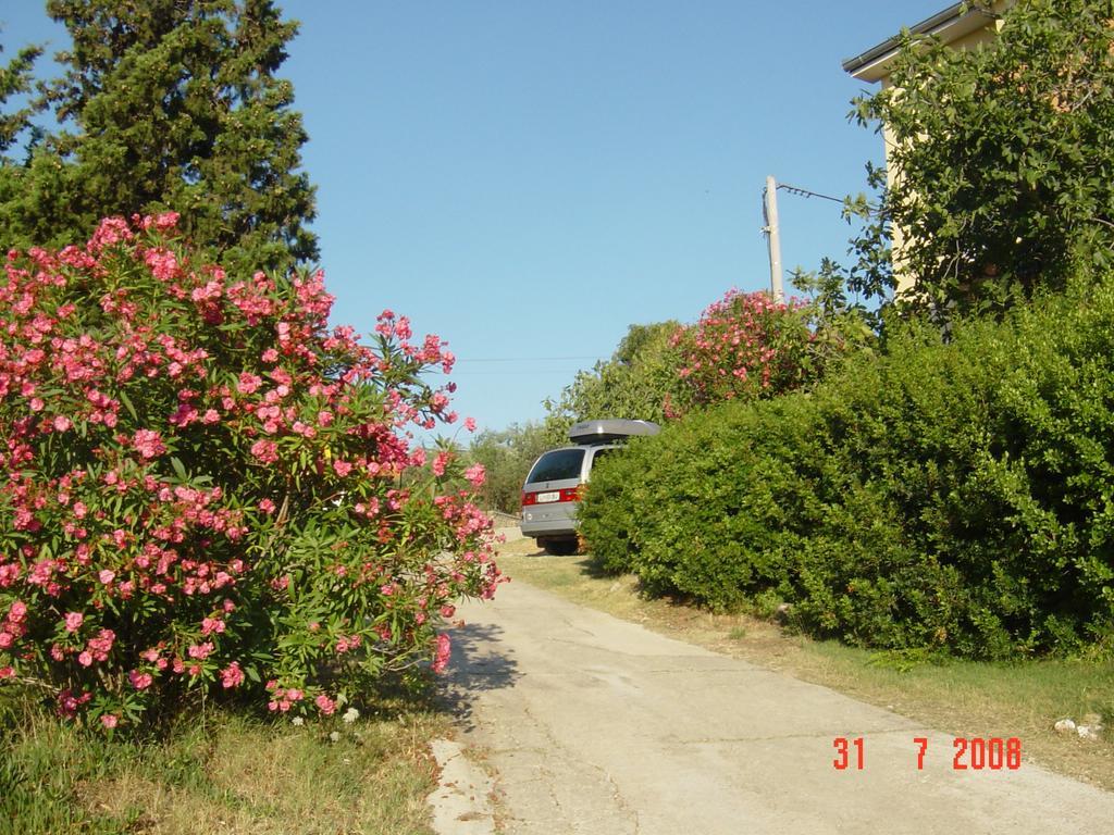 Apartments Prahovic Ждрелац Экстерьер фото